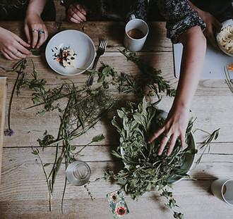 Image by Annie Spratt